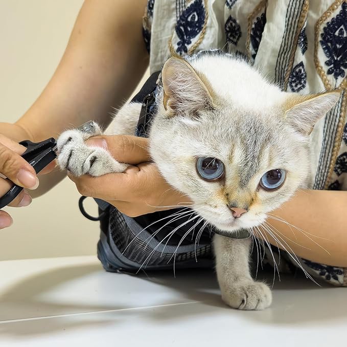 Cinf Cat Nail Clipping Cleaning Grooming Restraint Bag （Free Muzzle） No Scratching Biting for Bathing Nail Trimming Injecting Examining(Black,S)