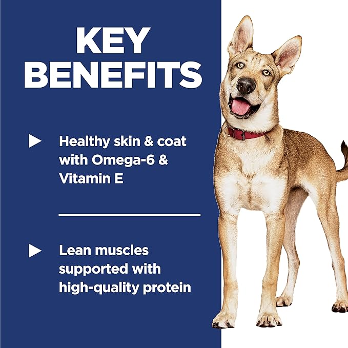 Hill's Science Diet Adult 1-6, Adult 1-6 Premium Nutrition, Dry Dog Food, Salmon & Brown Rice, 4.5 lb Bag