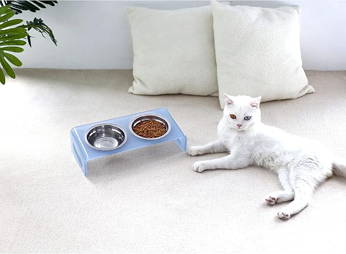 Tilted Raised Elevated Food and Water Bowls Stand for Cat or Small Dogs - Puppy's Clear Acrylic Stainless Steel Dishes Holder for Boy or Girl Pet,Modern,Durable and Easy to Clean by WBhonghui (Blue)