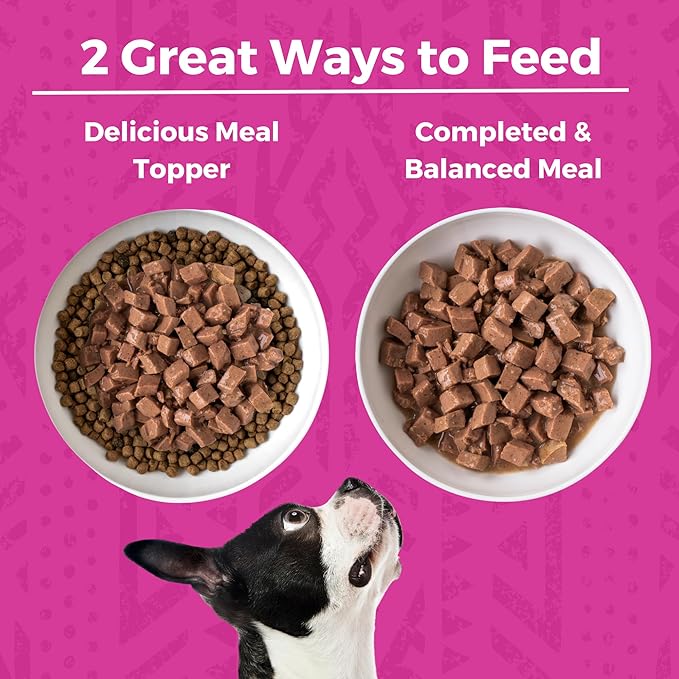 KOHA Minimal Ingredient Pork Stew for Dogs, High Protein Limited Ingredient Dog Food, 12.7oz Cans (Case of 12)