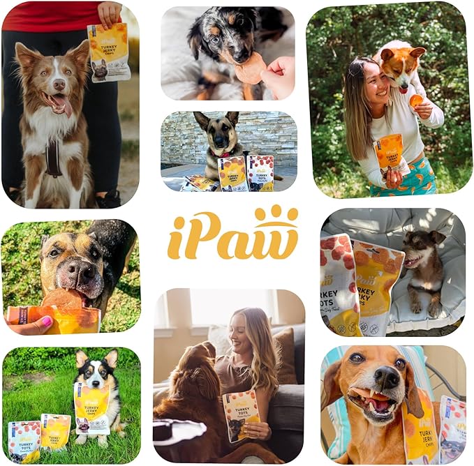 iPaw Chicken Chips Dog Treats for Puppy Training, All Natural Human Grade Dog Treat, Hypoallergenic, Easy to Digest (Chicken Chips)