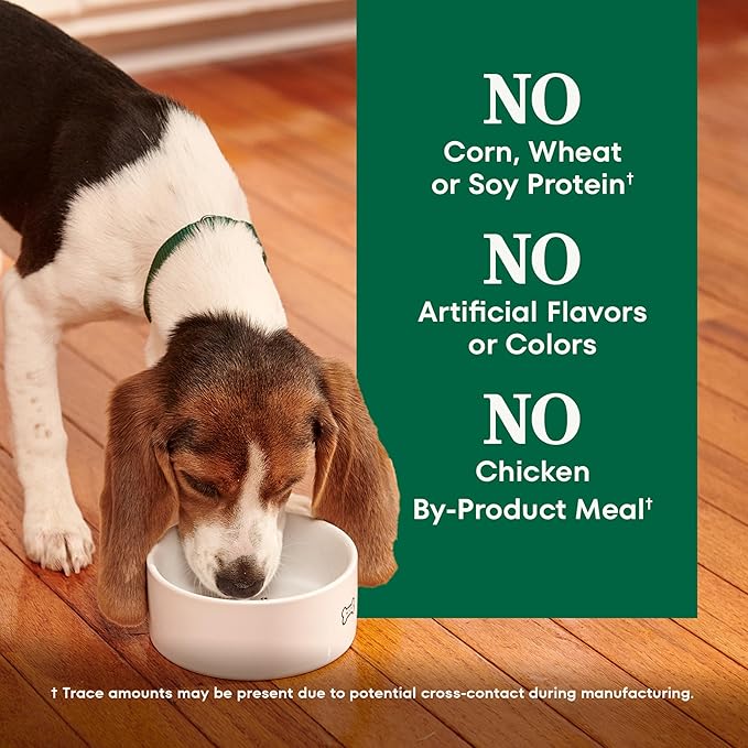 Nutro Natural Choice Chicken & Brown Rice Large Breed Puppy Food Dry Recipe, 30 lb. Bag