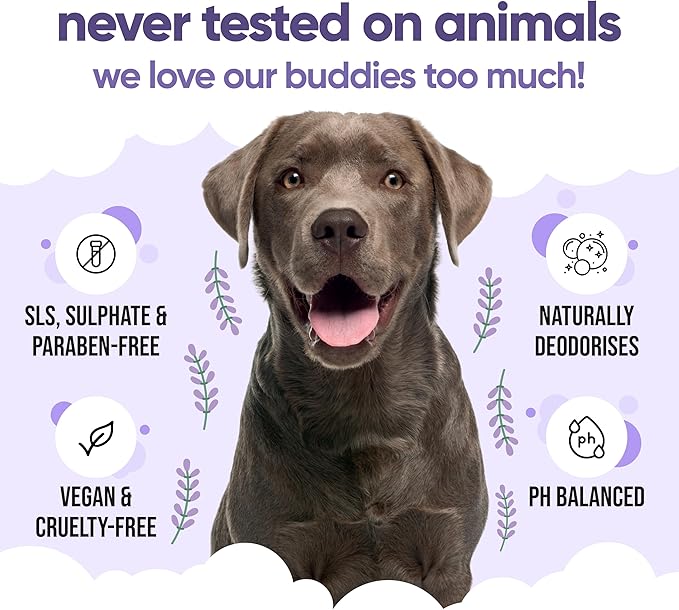 Calming & Deodorising Dog Shampoo by Buddycare | Lavender Scented | with Aloe Vera and Pro Vitamin B5 (33.8oz)