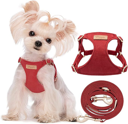 Puppytie No Pull xs Dog Harness with Multifunction Dog Leash,Soft Adjustable No Choke Escape Proof Pet Harness Vest,red Hawthorn,XS