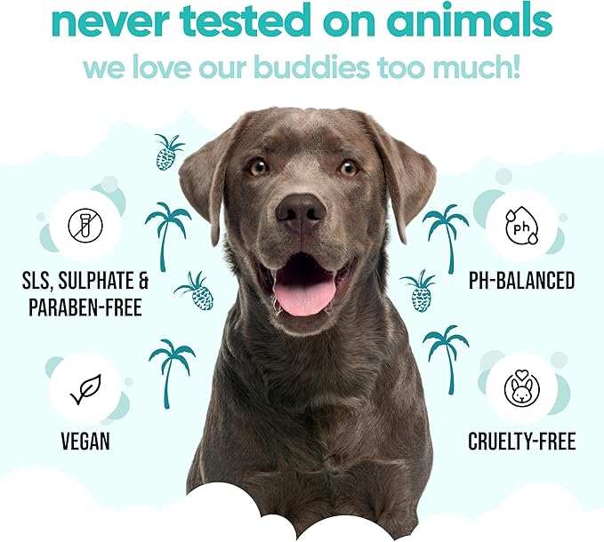 Tropical Dog Shampoo by Buddycare | Deep Cleansing Shampoo for Dogs | Tropical Scented | with Aloe Vera and Pro Vitamin B5 (33.8oz)