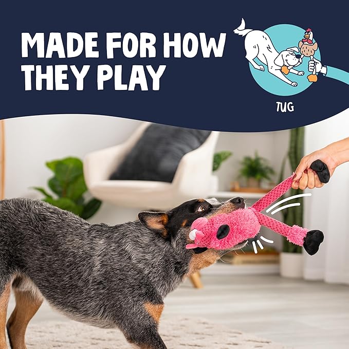 goDog Checkers Skinny Pig Tough Plush Toy with Chew Guard Technology, Durable Checkered Fabric & Squeaker for Active Play, Small