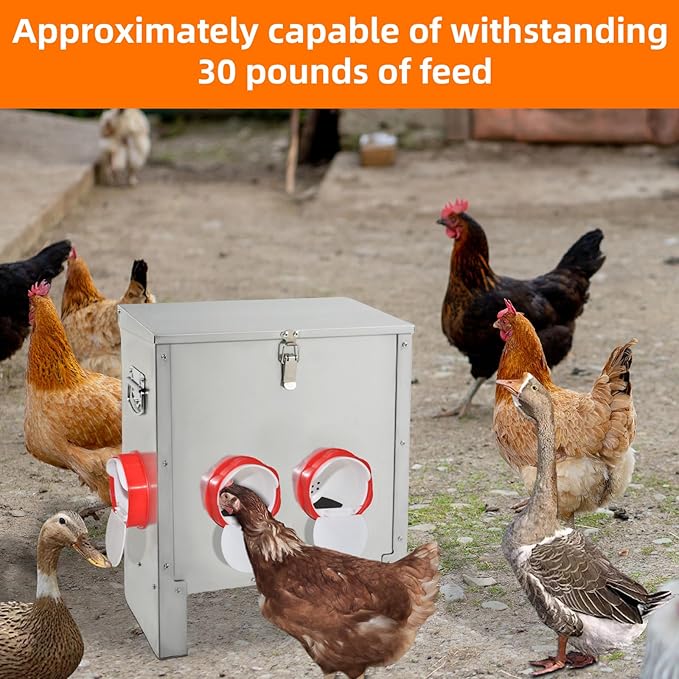 XKV Metal Automatic Chicken Feeder 30LBS with 4 Ports,No Feed Waste,All Seasons Support,Weather-Resistant and Animal-Proof,Suitable for Chicken,Geese,Ducks,Turkeys,Quails