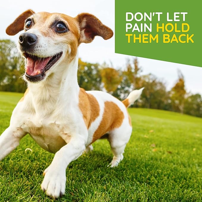 MediNatura T-Relief Pet Arthritis Relief Drops Arnica +12 Powerful Natural Homeopathic Medicines Help Ease Hip & Joint Pain Soreness & Stiffness for Dog & Cat - 1.69 oz (2 Pack)