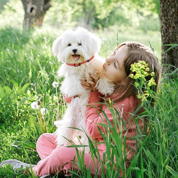 Orange Dog Collar and Leash Set for Large Dog, Breathable, Anti-Odor & Soft, Comfortable for Sensitive Skin Puppies, 90% Bamboo Rayon, Adjustable Quick-Release Buckle Pet Collar for Large Breeds
