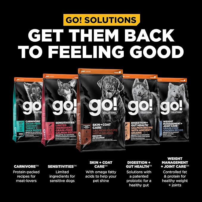 Go! Solutions Skin + Coat Care, Dry Dog Food, Large Breed Adult Salmon Recipe with Grains, 12 lb Bag