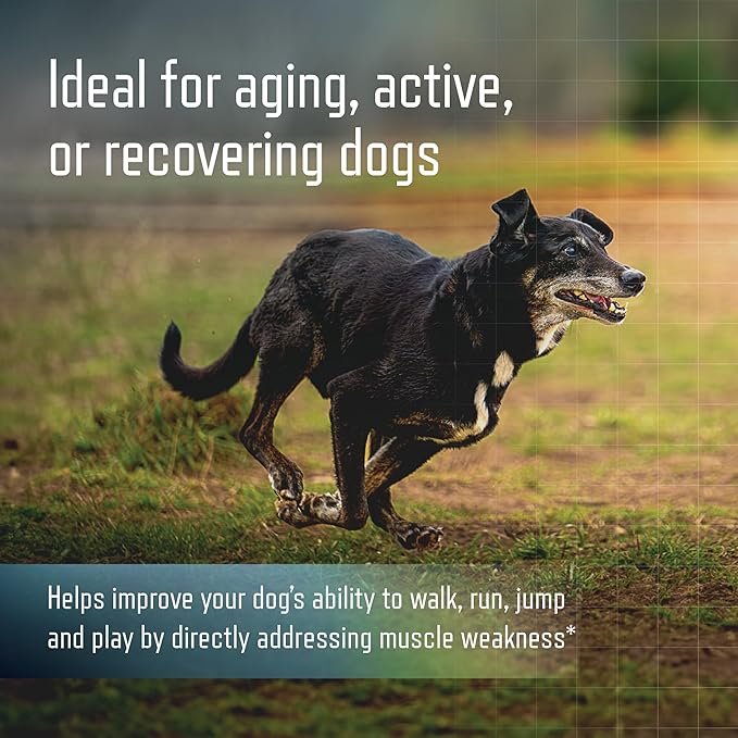 Virbac URSOLYX Soft Chews for Dogs | Muscle Health Support for Senior, Active or Recovering Dogs, Small | 60 Count 2- Month Supply