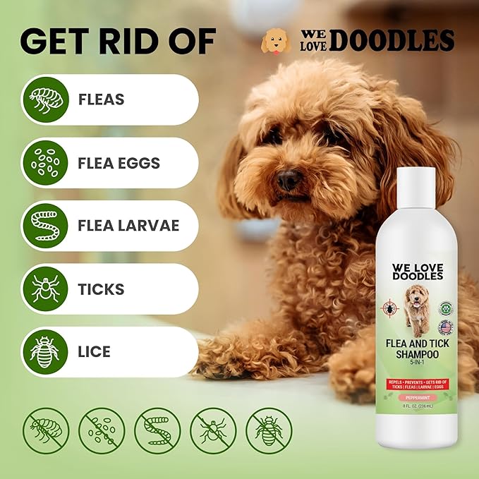 We Love Doodles Flea Shampoo for Dogs - Stops Fleas & Ticks for Dogs, Natural, Safe & Effective Lice Treatment, Soothing Shampoo for Sensitive Skin, Made in USA (8 fl oz)