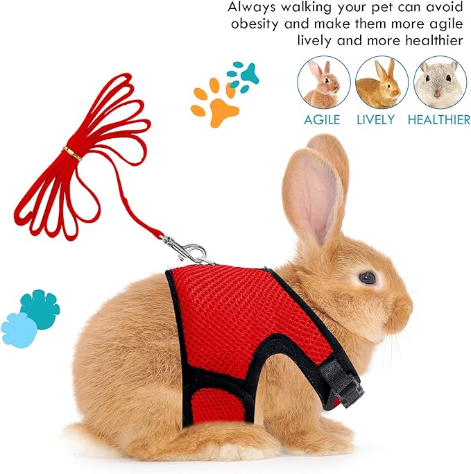2 Pieces Bunny Rabbit Harness with Leash Cute Adjustable Buckle Breathable Mesh Vest for Kitten Puppy Guinea Pig Small Pets Walking (Black, Red, L)