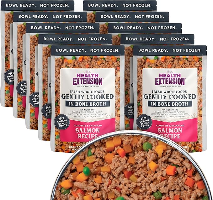 Health Extension Gently Cooked Grain-Free Salmon Dog Food, Human-Grade & Shelf-Stable with Superfoods, Supports Digestion, Immunity, Skin & Coat, 9 oz Pouch (Pack of 10)