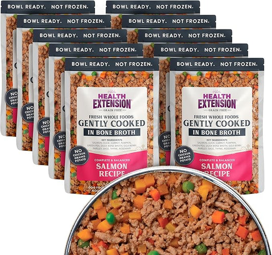 Health Extension Gently Cooked Grain-Free Salmon Dog Food, Human-Grade & Shelf-Stable with Superfoods, Supports Digestion, Immunity, Skin & Coat, 9 oz Pouch (Pack of 10)