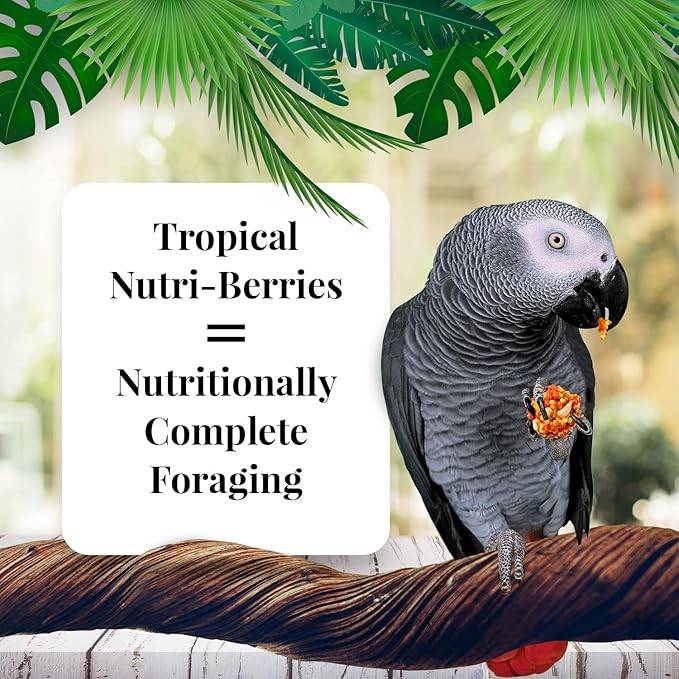 LAFEBER'S Tropical Fruit Nutri-Berries Pet Bird Food, Made with Non-GMO and Human-Grade Ingredients, for Parrots, 14 lb