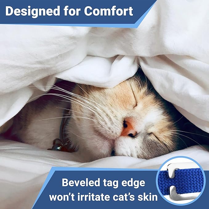 GoTags Personalized Cat Collars with Tag, Engraved Custom Cat Collar with Name and Phone, Breakaway Collar with Safety Buckle and Bell, Adjustable for Cats and Kitten (Blue with Nameplate)