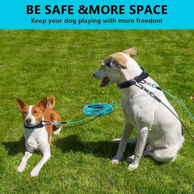 Dog Tie Out Cable 20FT-500Lbs,Heavy Duty Dog Leads&Tether for Yard with Swivel Hook,Small Large Dogs Leash Line for Outside,Rust Chew Proof Dogs Run Cable for Outdoor Camping(Teal, 20FT)