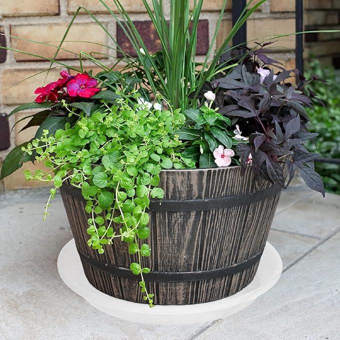 2 Pack of 14 inch Clear Plant Saucer, Plastic Plant Saucer 14 inch, Bird Bath Bowls, Heavy Duty Clear Plant Tray for Pots, Plant Saucers for Indoors Planter, Garden Water Plate 12"/13"/14"