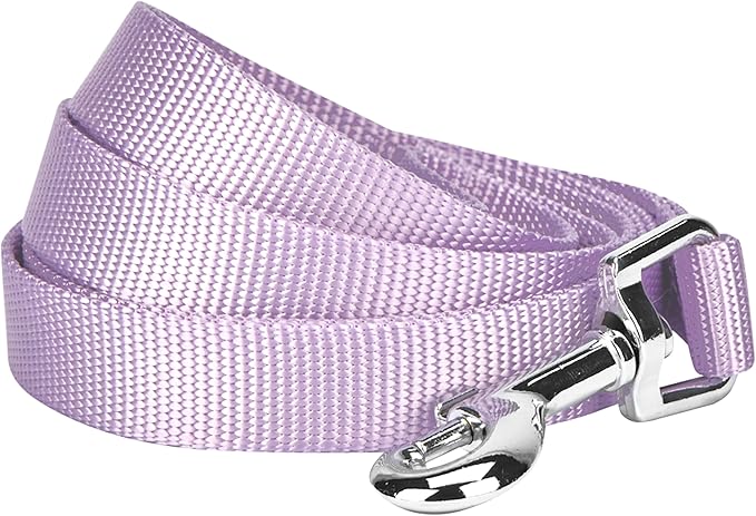 Blueberry Pet Essentials Lavender Dog Leash for X-Small -5' * 3/8" Dogs | Heavy Duty Nylon Lead | Lightweight Puppy & Cat Leash for Walking & Training