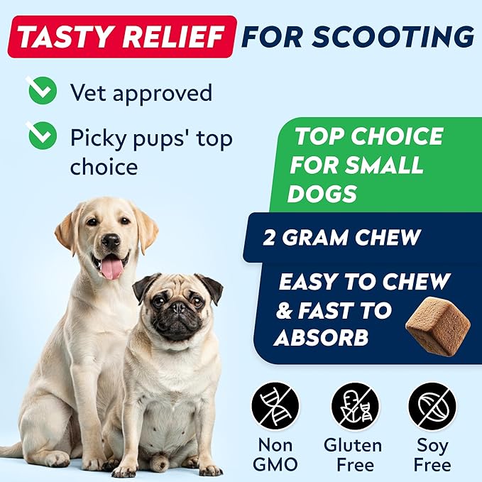 STRELLALAB Anal Gland Support Chews - Scoot Treatment - Digestive Enzymes, Prebiotics & Fiber Supplement for Dogs Digestion & Gut Health. Proprietary Blend of Beet, Psyllium, Dandelion & Pumpkin 120Ct