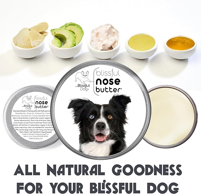 The Blissful Dog Border Collie Nose Butter for Dry, Cracked Skin, Lick-Safe Dog Nose Balm with Moisturizing Shea Butter, Almond, Olive, and Essential Oils, Pet Supplies, Uncented, 4 oz.