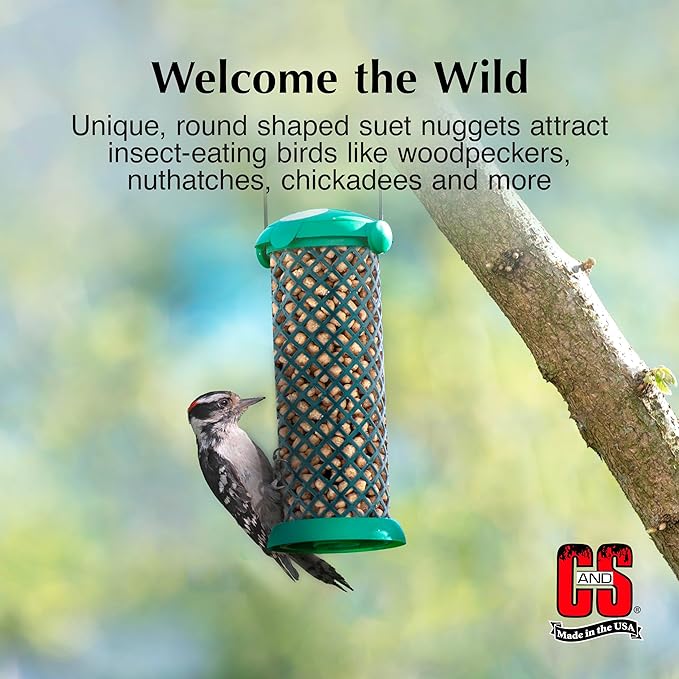 C&S Wild Bird Woodpecker Suet Nuggets Mega Box, 8 Pounds