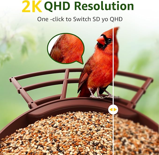 PeckCam® Smart Bird Feeder with Camera 2K HD Auto Detect & Notify, AI Identify 10000+ Birds Camera with Solar Panel 5 Perch Attachments Wireless Outdoor Birdwatching Gift for Birds Lover, Red