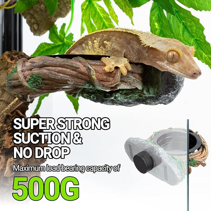 REPTI ZOO Magnetic Crested Gecko Feeding Ledge, Reptile Feeder Ledge with 2PCS Cups, Reptile Water Bowl for Bearded Dragon Lizard Snake, Hollow Vine Food Dish Tank Accessories