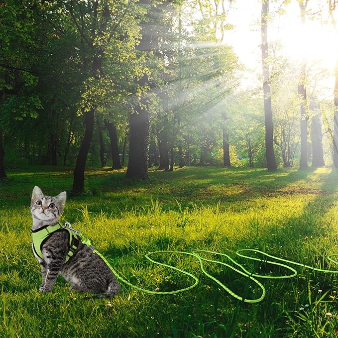 Reflective Cat Leash -15FT Cat Cable Out Escape Proof Walking Leads Yard Long Durable Safe Leash Traning Play Outdoor for Puppies/Kittens/Small Animals(Green)