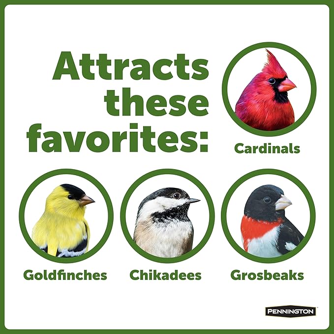 Pennington 100521909 Jr Pavilion Bird Feeder, 2.5 lb, Aromatic Eastern Red Cedar