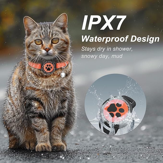 Airtag Cat Collar, Stretchy Kitten Collar with Apple Air Tag Holder, Lightweight and Comfortable, Ultra Elastic GPS Cat Collars for Cats Kittens and Puppies, 8-12.5 inch, Orange