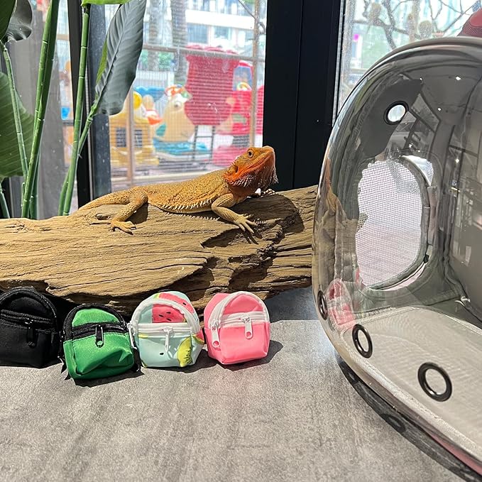 Leopard Gecko Backpack Carrier,Reptile Portable Backpack Carrier with Small Backpack Harness Leash Set,Space Capsule Clear Bubble Window Travel Backpack for Lizard Travel,Guinea Pig,Rabbit