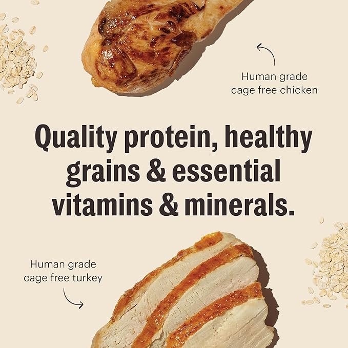 The Honest Kitchen Essential Clusters Dog Whole Grain Turkey & Chicken 20 lb Bag