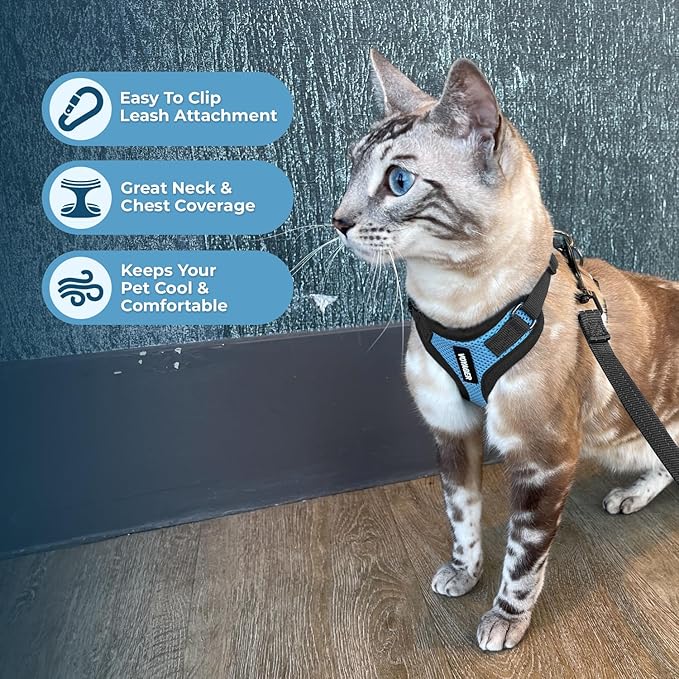 Voyager Step-in Lock Adjustable Cat Harness w. Cat Leash Combo Set with Neoprene Handle 5ft - Supports Small, Medium and Large Breed Cats by Best Pet Supplies - Baby Blue/Black Trim, XXXS