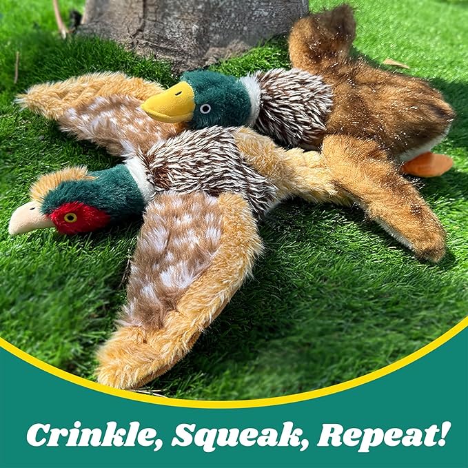 2 PCS Mallard Duck Dog Toys Squeaky D og Toy ,Stuffed Pheasant Do g Chew Toys Plush Mallard Duck Do g To y Interactive Do g Toys to Keep Them Busy , Pheasant Dog To y for Small Middle and Large Dogs