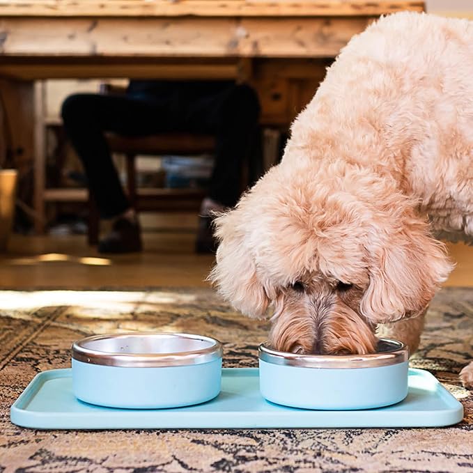 Trot Pets Premium Dog Bowls | Stainless Steel Bowl Set for Small, Medium, or Large Dogs | Non-Slip Food and & Water Slow Feeder | Durable, BPA-Free, Anti-Skid, Dishwasher Safe (Bone, Small)