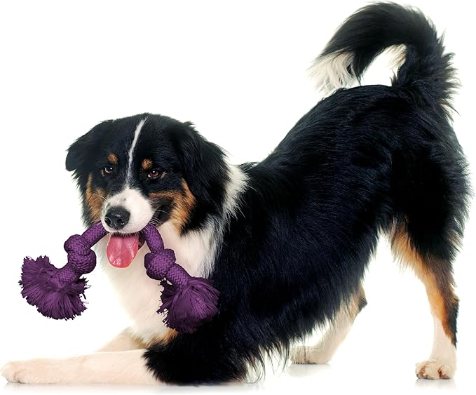 Playology Dog Toys | Dri-Tech Rope Toy Tug of War Rope for Aggressive Chewers | Medium Bacon Scented Toy - Easy to Clean and Made from Non Toxic Materials