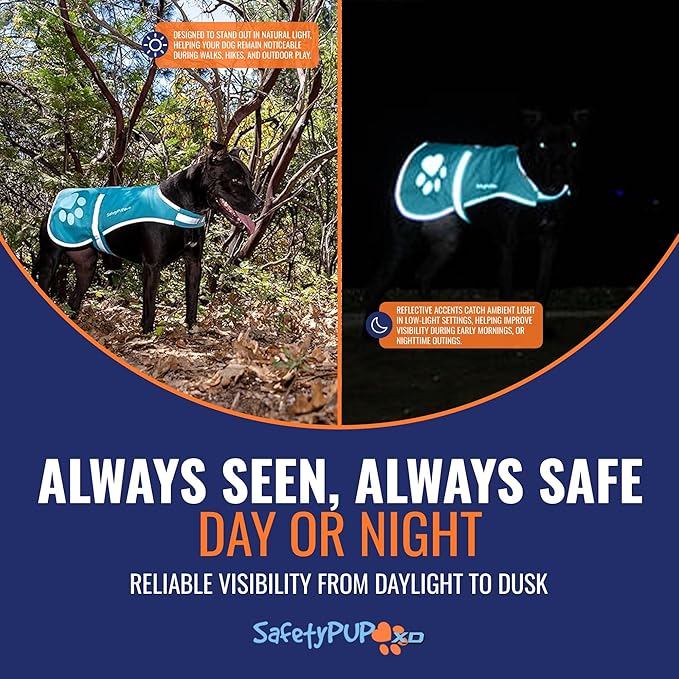 Dog Reflective Vest – Hi-Vis Fluorescent Visibility That Helps to Safeguard Your Pet On/Off Leash in Urban & Rural Areas (Teal, X-Small)