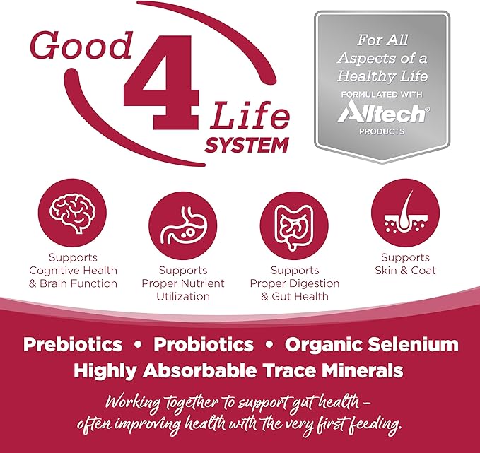 NutriSource Grain Free Seafood Select Recipe Dog Food, Premium Wet Dog Food, 12.3 Ounce (Pack of 12)