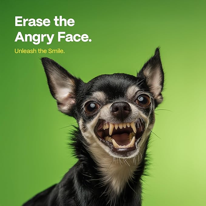 DOCO Dog Teeth Cleaning Wipes - Dog Tooth Brushing Kit, Remove Plaque & Tartar, Freshen Breath, Easy Pet Tooth Cleaning Kit for Oral Care, Ideal for Cat Owners - Coconut & Grapefruit Flavor, 50 ct.