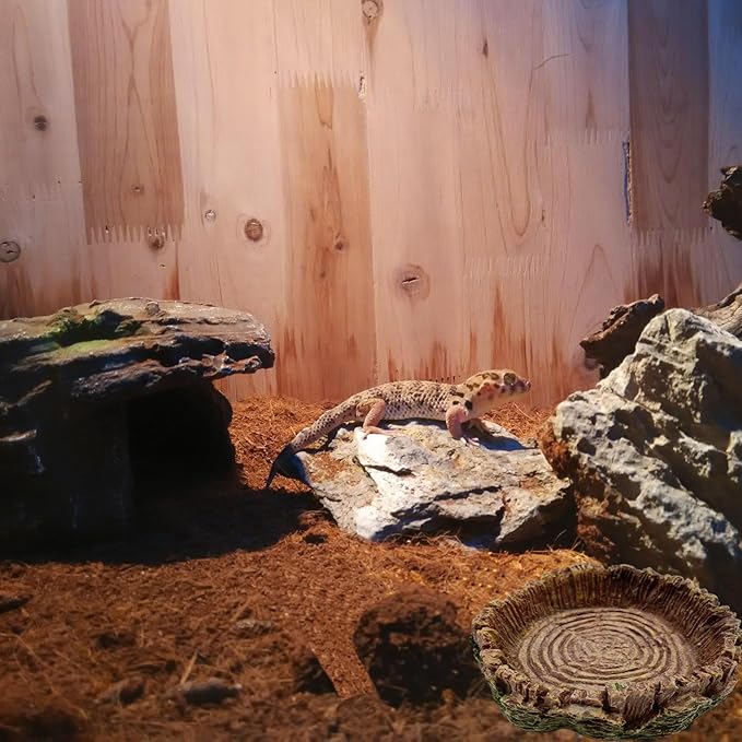 3 Pack Small Reptile Food Bowls, Reptile Feeding Terrarium Bowls for Bearded Dragon Lizard Frog Gecko Tortoise Hermit Crab Snail (Brown)