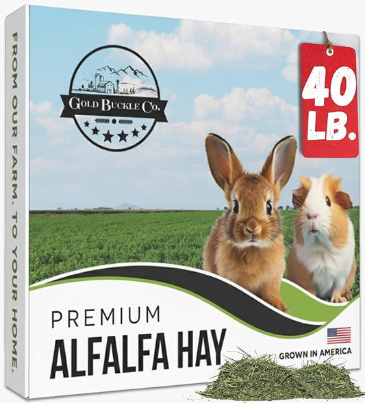 40lb Farm Fresh, USA Grown, Organic Alfalfa Hay for Rabbits, Guinea Pigs, Chinchillas, Goats, Hamsters & Ferrets - Small Animal Food Rich in Protein & Fiber - Just Dried, Hand-Selected