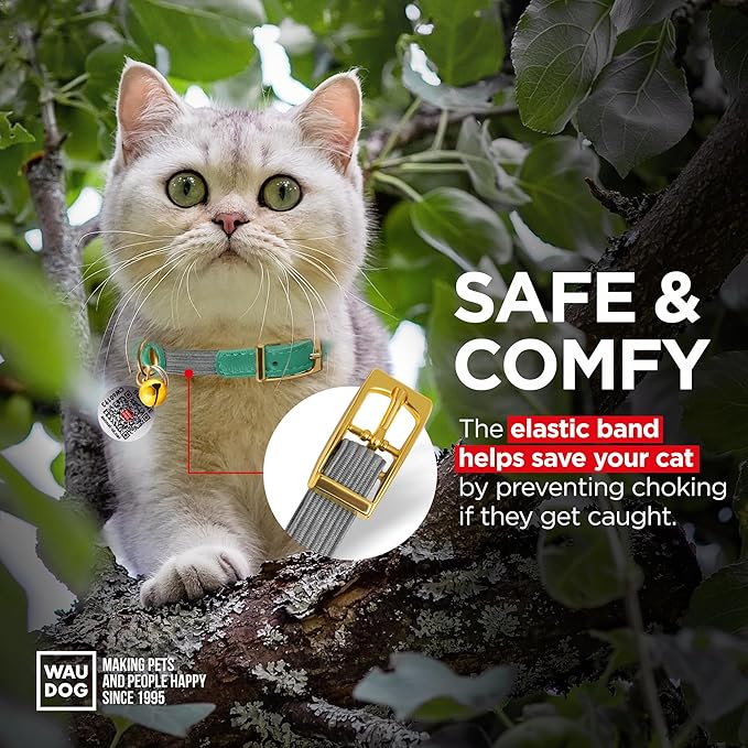 WAUDOG Ultra Soft Rolled Leather Cat Collar with Removable Bell, Safety Elastic Strap and QR ID Tag - Soft Padded for Small, Medium, and Large Cats - Round Kitten Collar for Male and Female Cats