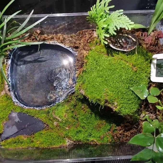 RUIAN Reptile Feeding Bowl Dish Bearded Dragon Food Water Terrarium Dish for Lizards, Geckos, Snakes, Tortoises, Chameleons(Large)