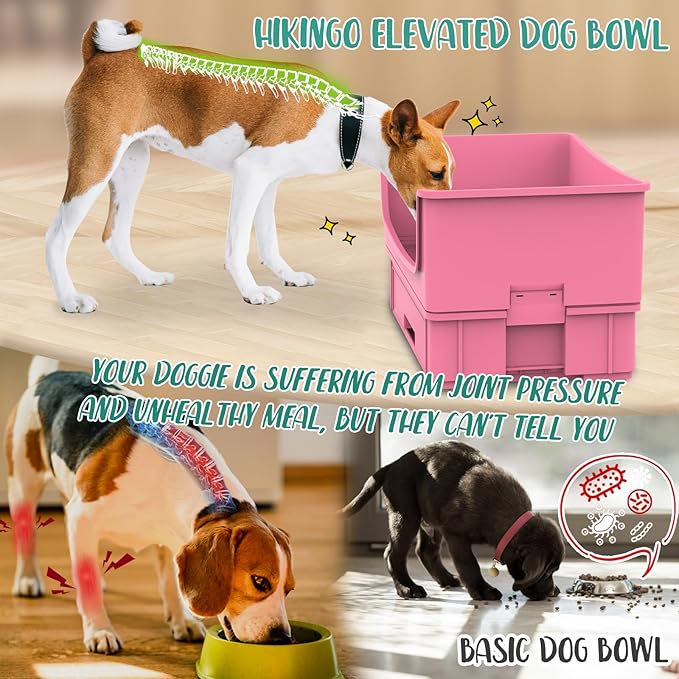 Mess Proof Dog Bowls, No Mess Dog Food and Water Bowl Set, No Spill Pet Feeder with 2 Stainless Steel Bowls for Medium Dogs