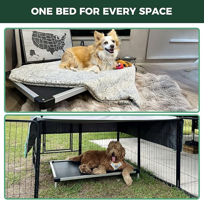 FXW TitanNest Chew-Proof Elevated Dog Bed, Raised Cot for Indoor/Outdoor/Camping Use, Durable & Waterproof Cooling Pet Bed for Large Dogs, 50.0" L x 31.0" W x 7.3" H, Black