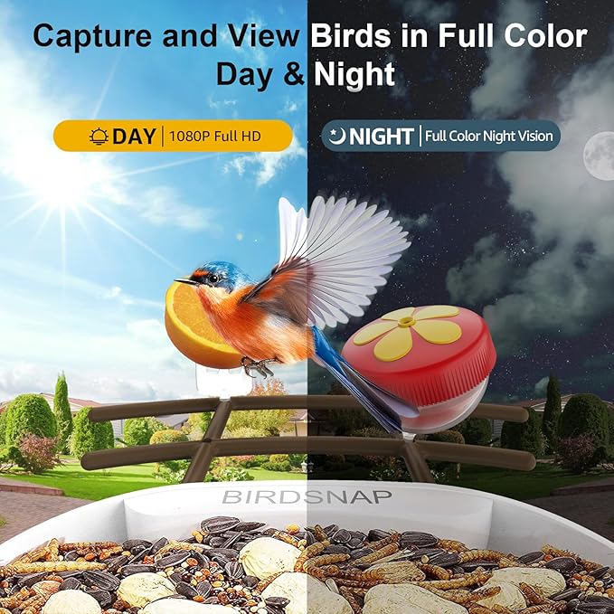 birdsnap® PAV- Smart Bird Feeder with Camera Solar Powered, 64GB Card & 2K HD Record Video Bird Camera Live with 5 DIY Add-ons, AI Identify Auto Capture, Ideal Gift for Birds Lover
