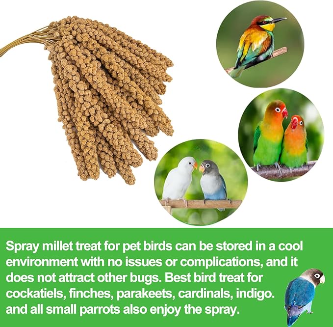 RANZ 5LBS Millet Spray for Birds, GMO-Free, Sun Dried Spray Millet, Original Bird Treats & Supplement for Parrots, Cockatiels, Lovebirds, Painted Buntings and Finches, Parakeets Food