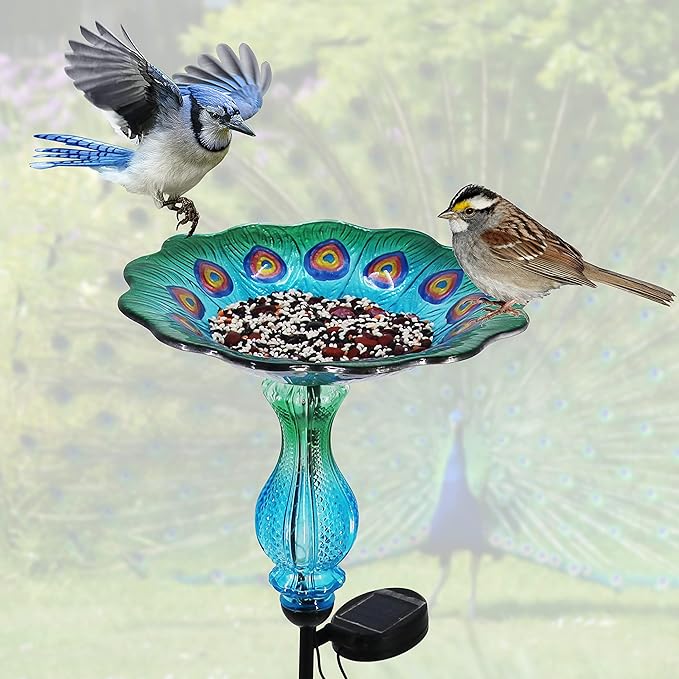 John's Studio Peacock Bird Bath for Outdoor - Glass Bowl Solar Light Cage Outside Dish Bird Feeder with Metal Stake for Garden, Yard and Patio - 32 inches
